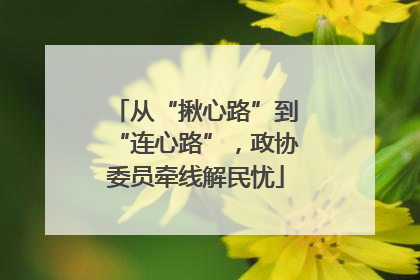 从“揪心路”到“连心路”，政协委员牵线解民忧