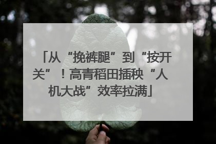 从“挽裤腿”到“按开关”！高青稻田插秧“人机大战”效率拉满