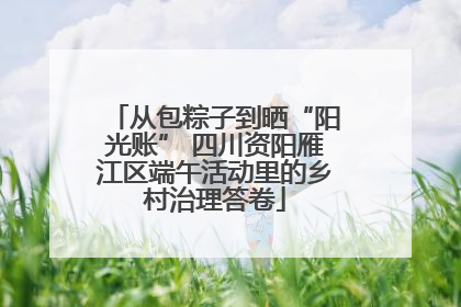从包粽子到晒“阳光账” 四川资阳雁江区端午活动里的乡村治理答卷