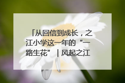 从回信到成长，之江小学这一年的“一路生花”｜风起之江 扶摇直上