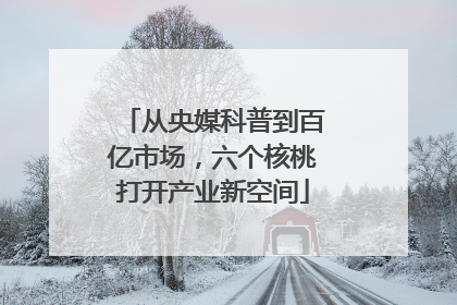 从央媒科普到百亿市场，六个核桃打开产业新空间