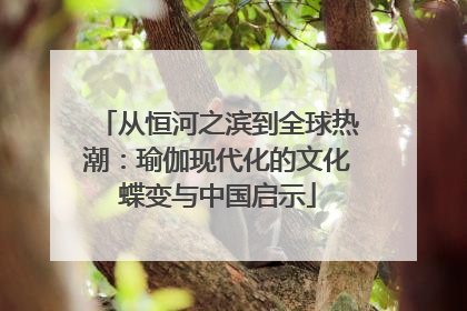 从恒河之滨到全球热潮：瑜伽现代化的文化蝶变与中国启示