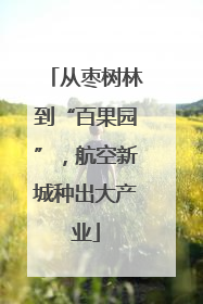 从枣树林到“百果园”，航空新城种出大产业