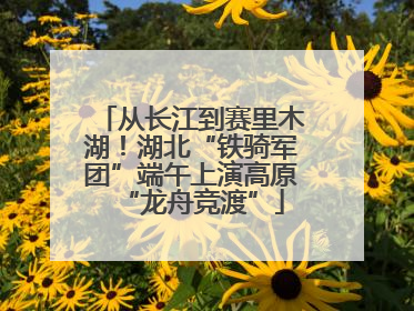 从长江到赛里木湖！湖北“铁骑军团”端午上演高原“龙舟竞渡”