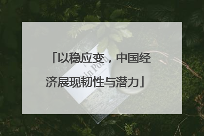 以稳应变，中国经济展现韧性与潜力