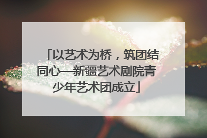 以艺术为桥，筑团结同心—新疆艺术剧院青少年艺术团成立