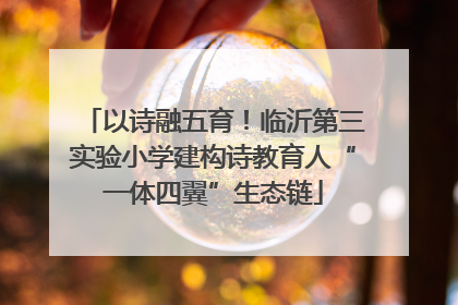 以诗融五育！临沂第三实验小学建构诗教育人“一体四翼”生态链