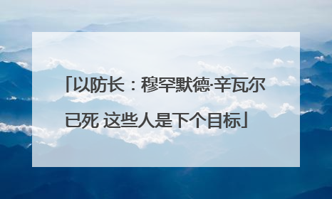 以防长：穆罕默德·辛瓦尔已死 这些人是下个目标