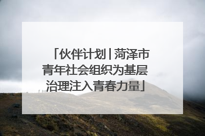 伙伴计划│菏泽市青年社会组织为基层治理注入青春力量