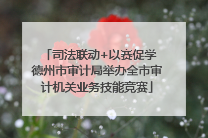 司法联动+以赛促学 德州市审计局举办全市审计机关业务技能竞赛