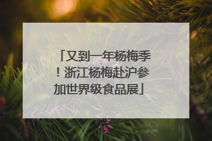 又到一年杨梅季！浙江杨梅赴沪参加世界级食品展