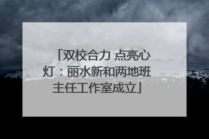 双校合力 点亮心灯：丽水新和两地班主任工作室成立