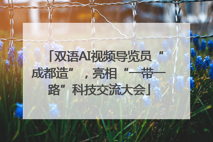 双语AI视频导览员“成都造”，亮相“一带一路”科技交流大会