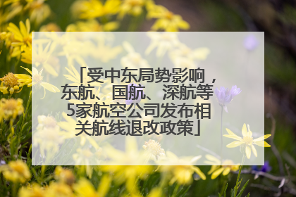 受中东局势影响，东航、国航、深航等5家航空公司发布相关航线退改政策