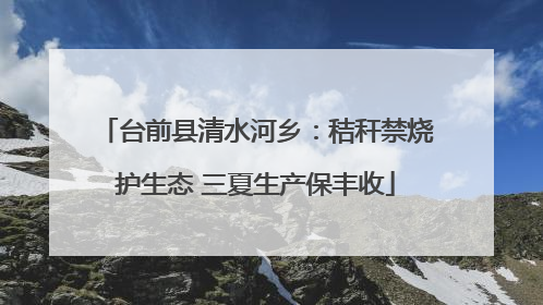 台前县清水河乡：秸秆禁烧护生态 三夏生产保丰收