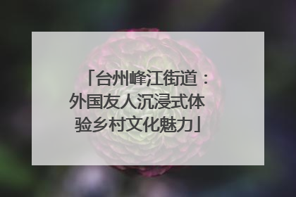台州峰江街道：外国友人沉浸式体验乡村文化魅力