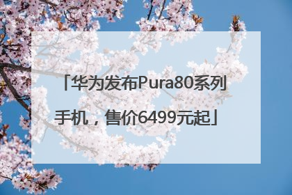 华为发布Pura80系列手机，售价6499元起