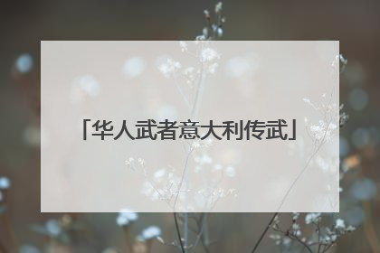 华人武者意大利传武