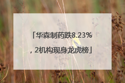 华森制药跌8.23%，2机构现身龙虎榜