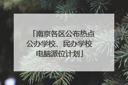 南京各区公布热点公办学校、民办学校电脑派位计划