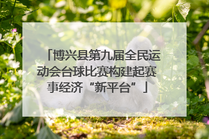 博兴县第九届全民运动会台球比赛构建起赛事经济“新平台”