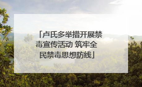 卢氏多举措开展禁毒宣传活动 筑牢全民禁毒思想防线