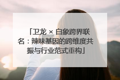 卫龙 × 白象跨界联名：辣味基因的跨维度共振与行业范式重构
