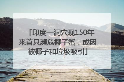 印度一洞穴现150年来首只濒危椰子蟹，或因被椰子和垃圾吸引