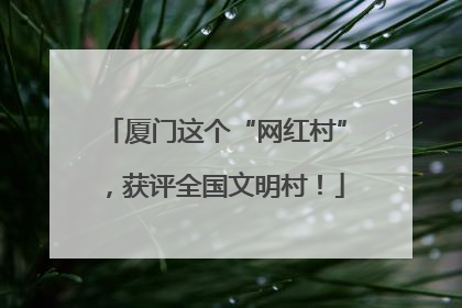 厦门这个“网红村”，获评全国文明村！