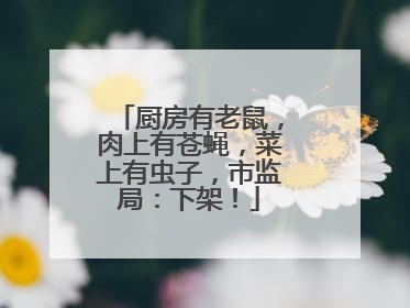 厨房有老鼠，肉上有苍蝇，菜上有虫子，市监局：下架！