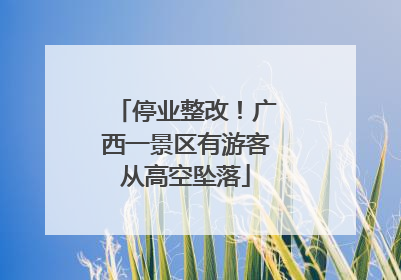 停业整改！广西一景区有游客从高空坠落
