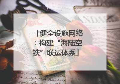 健全设施网络：构建“海陆空铁”联运体系