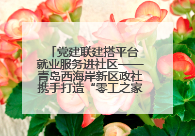 党建联建搭平台 就业服务进社区——青岛西海岸新区政社携手打造“零工之家”就业服务新阵地