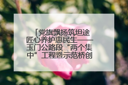 党旗飘扬筑坦途 匠心养护惠民生——玉门公路段“两个集中”工程暨示范桥创建项目圆满收官