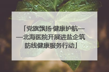 党旗飘扬·健康护航——北海医院开展进盐企筑防线健康服务行动