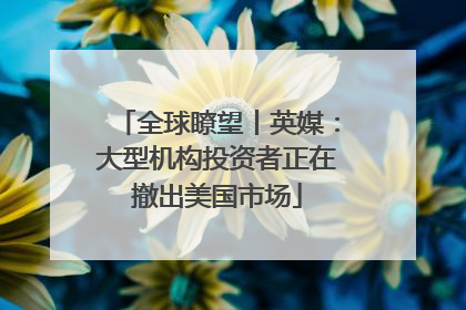 全球瞭望丨英媒：大型机构投资者正在撤出美国市场