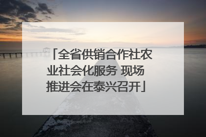全省供销合作社农业社会化服务 现场推进会在泰兴召开