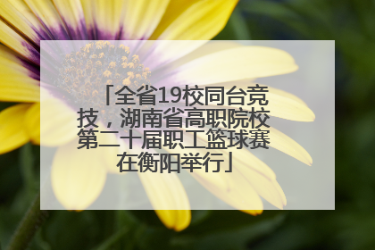 全省19校同台竞技，湖南省高职院校第二十届职工篮球赛在衡阳举行