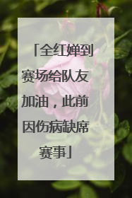 全红婵到赛场给队友加油，此前因伤病缺席赛事