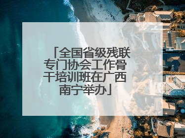 全国省级残联专门协会工作骨干培训班在广西南宁举办
