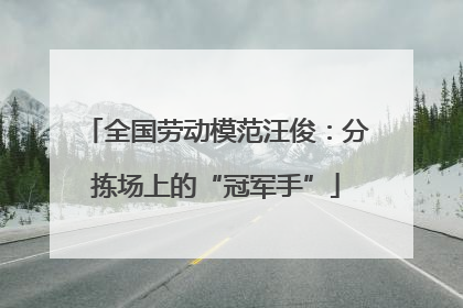 全国劳动模范汪俊：分拣场上的“冠军手”