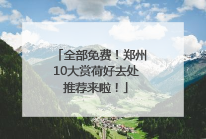 全部免费！郑州10大赏荷好去处推荐来啦！
