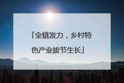 全链发力，乡村特色产业拔节生长