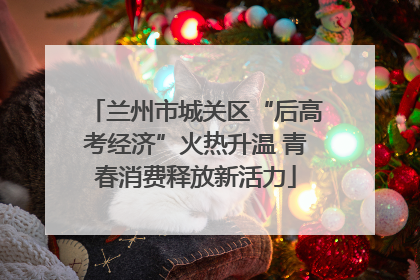 兰州市城关区“后高考经济”火热升温 青春消费释放新活力
