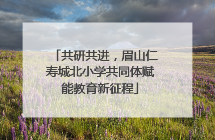 共研共进，眉山仁寿城北小学共同体赋能教育新征程