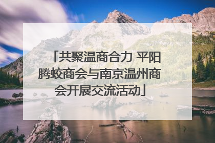 共聚温商合力 平阳腾蛟商会与南京温州商会开展交流活动