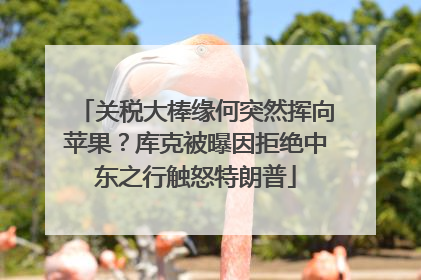 关税大棒缘何突然挥向苹果？库克被曝因拒绝中东之行触怒特朗普