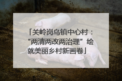 关岭岗乌镇中心村：“两清两改两治理”绘就美丽乡村新画卷