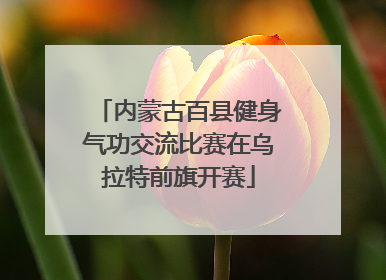 内蒙古百县健身气功交流比赛在乌拉特前旗开赛