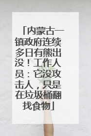内蒙古一镇政府连续多日有熊出没！工作人员：它没攻击人，只是在垃圾桶翻找食物